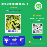 Weekly Bitesize Biodiversity Series (15 Minutes) - Primrose