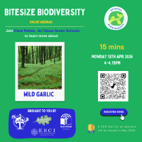 Weekly Bitesize Biodiversity Series (15 Minutes) - Wild Garlic
