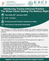 Introducing Trauma informed practice – the stress factor getting the balance right   (Webinar 3)