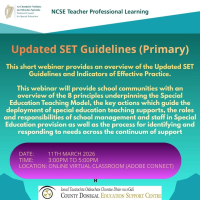 Updated SET Guidelines (Primary) - NCSE
