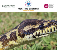 Meet The Scientist Series: What happens to your body when you’re bitten by a venomous snake?